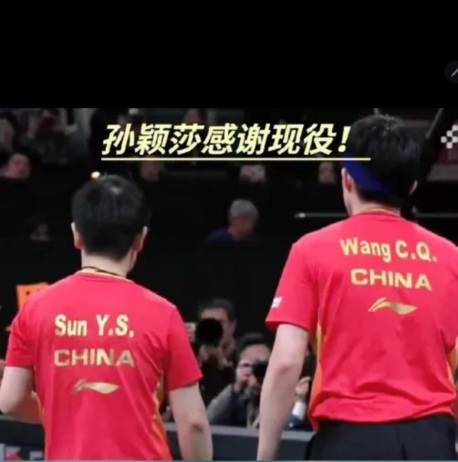 孙颖莎回归回归闪耀表现，约基奇球迷集体呐喊
